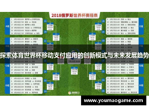 探索体育世界杯移动支付应用的创新模式与未来发展趋势