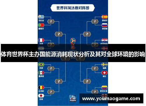 体育世界杯主办国能源消耗现状分析及其对全球环境的影响